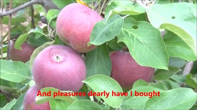 Jesus Christ the Apple Tree - Bob Bennett смотреть онлайн