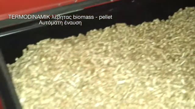TERMODINAMIK αυτόματη έναυση - βιομάζα - πέλλετ смотреть онлайн