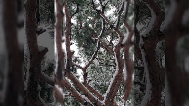 Зимушка-зима.mp4