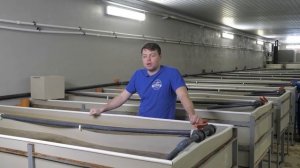 Выращивание форели в узв часть 1