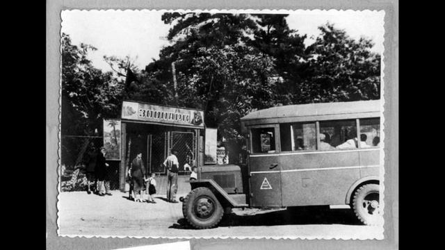 9. Живые истории ростовского зоопарка смотреть онлайн