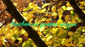 10. Исихия. иером. Симон (Безкровный)