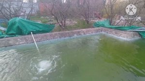 Продолжаем делать пруд для осетра,форели_УФ лампа работает
