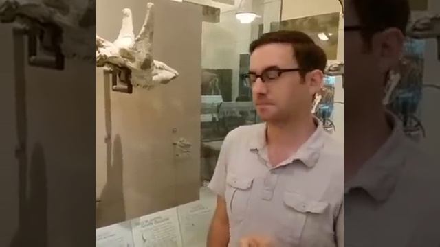 Horns, Antlers & Hoofed Mammal Headgear With Paleontologist Zac Calamari смотреть онлайн