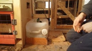 Обустройство и устройство голубятни #3-1 Подогреваемая поилка