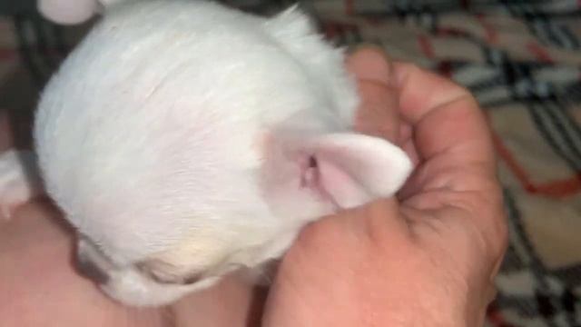 Всем доброго вечера и спокойной ночи. смотреть онлайн