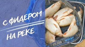 Весенняя ловля язя на фидер. Рыбалка 2023. Фидер на реке