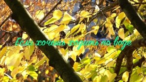 14. Исихия. иером. Симон (Безкровный)