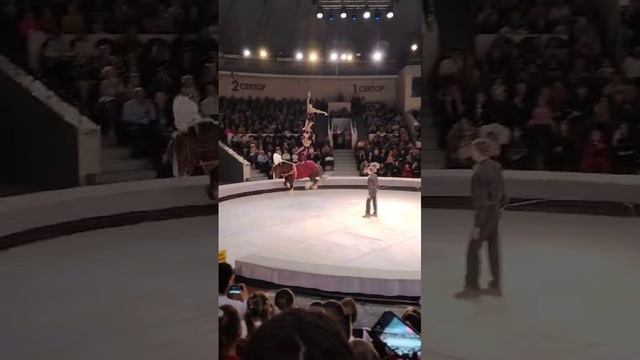 VID-20241223-WA0030 смотреть онлайн