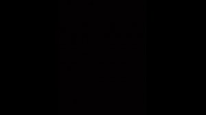 Андрей Алексин - Невменяемая