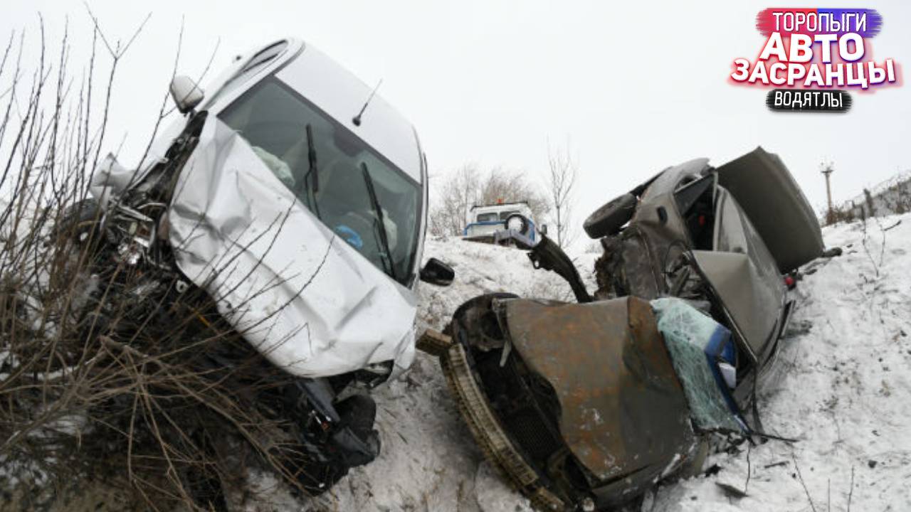 Леха, не молчи! Декабрянутые Торопыги и Водятлы на Дороге! ДТП смотреть онлайн