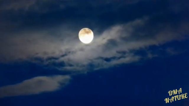 КРАСИВАЯ ПРИРОДА. Wonderful Nature. Әдемі табиғат