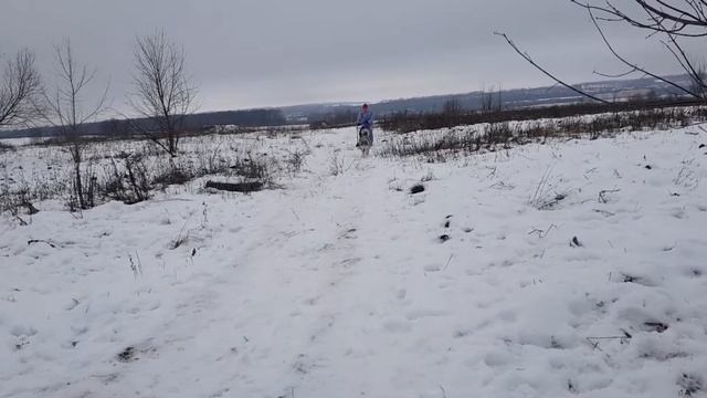 Ездовой спорт город Орёл смотреть онлайн