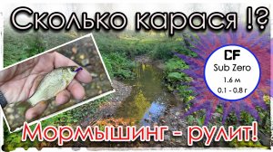 Сколько карася в этой луже?! Мормышинг - рулит! Sub Zero