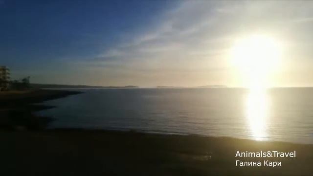 #Новости #Ибица Сегодня лучше быть #вместедома