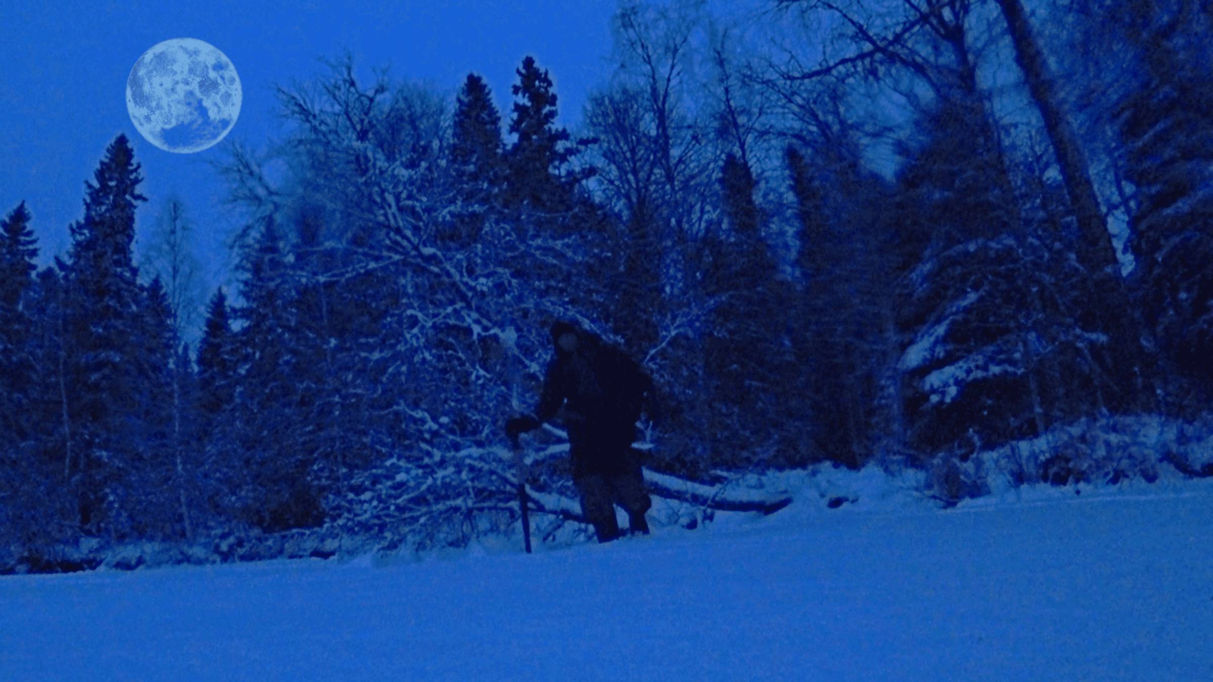 РЫБАК НАШЁЛ ЛЕСНОЕ ОЗЕРО И ОБАЛДЕЛ. Проверил жерлицы, поймал рыбу. Зимняя рыбалка 2024 смотреть онлайн