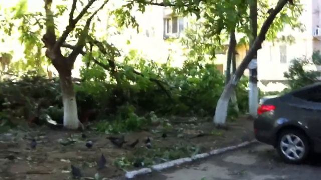 Джек-Потрошитель в Одессе ( 31.05.13 ) смотреть онлайн