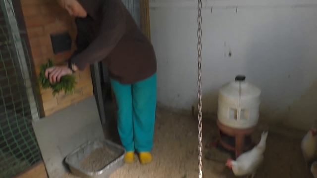 Деревня в ожидании лета смотреть онлайн