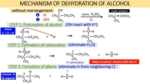 MECHANISM DEHYDRATION OF ALCOHOL смотреть онлайн