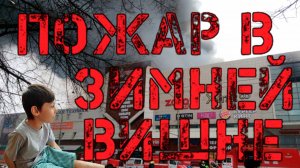 Зимняя вишня. Почему случился пожар?