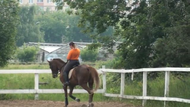 Г.Н. Ланюгина, семинар по судейству в выездке. Часть 15 смотреть онлайн