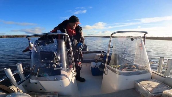 ЧТО ВИДНО В PANOPTIX? ЩУКА из под БЕЛИ и ЕЁ ПОВАДКИ ОСЕНЬЮ. 10.11.2024.