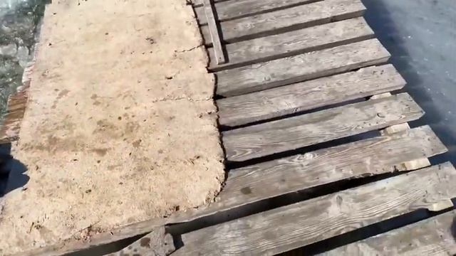 1 часть😱 #собака #собаки #хаски #маламут #щенок #щенки #животные #животное #питомец #хасм смотреть онлайн