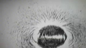 Магнитное поле постоянных магнитов 2