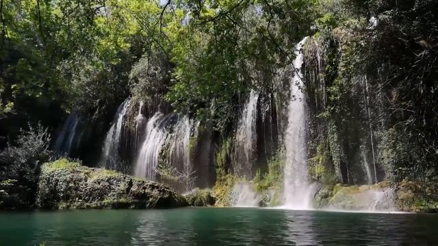🕊🕊🕊Beautiful Relaxing Music🌿, Positive Energy, Morning Music, Study And Work❤❤❤