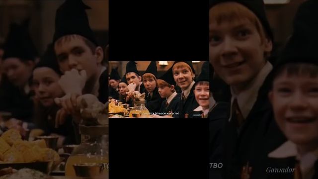 Фразы из Гарри Поттера, которые заставляют нас задуматься смотреть онлайн