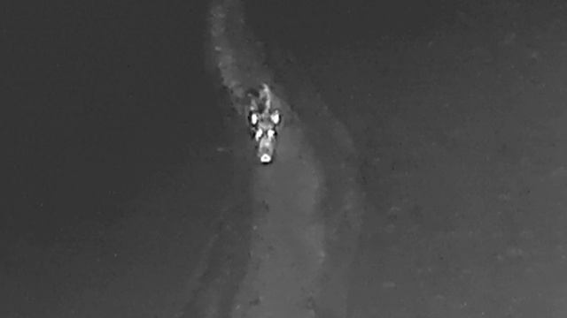 секач смотреть онлайн