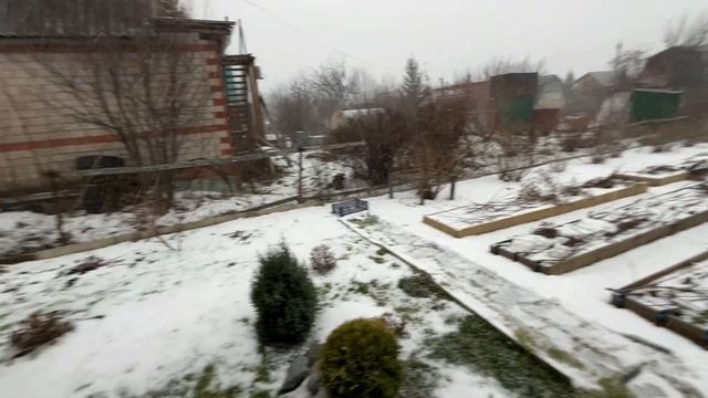 Утеплили саженцы на зиму. ЧП на даче. Соседи приютили, обогрели, накормили смотреть онлайн