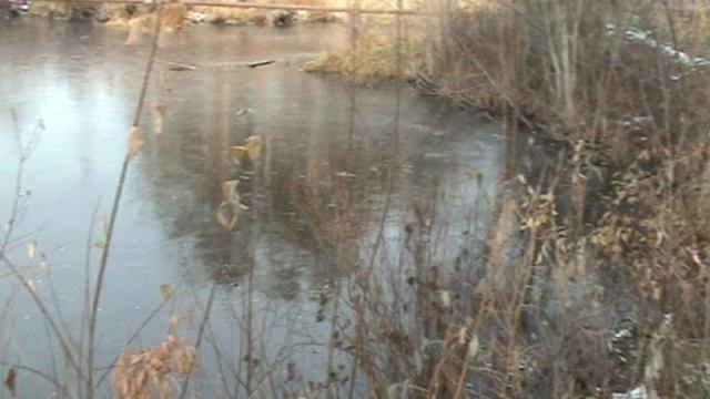 Вперед в прошлое - 63. Река Токовая.