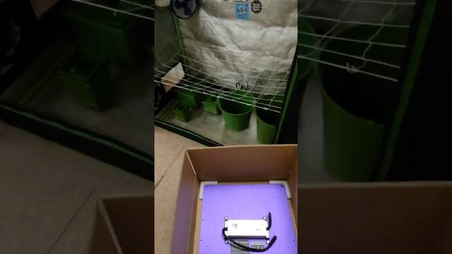 FTG Lighting Infinity Board смотреть онлайн