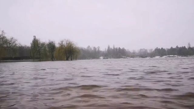 Snow and Rain Falling on Lake (no music), Wind Breeze and birds sounds, Relaxing смотреть онлайн