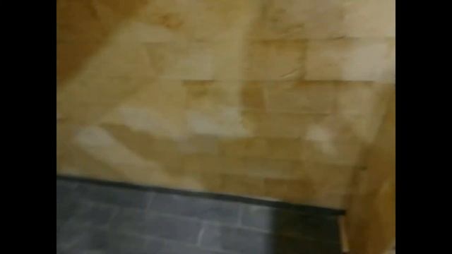 Подготовка к открытию зоомагазина ч 5 смотреть онлайн