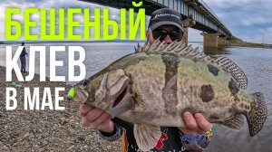 моя ЛУЧШАЯ рыбалка на ДЖИГ | озеро Гасси