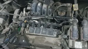 Фиат добло троит. Очень быстрый поиск причины мотортестером!