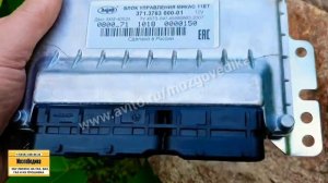 ЭБУ (Мозги) на Газ Газель Микас 11ЕТ 371.3763000-01. Прошивка ЗМЗ 40524 с электронным дросселем.