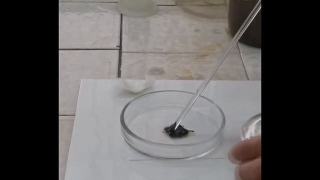 Инсендио смотреть онлайн