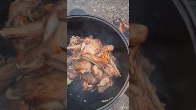 В отпуске с рыбалкой пока не очень, готовим мясо в казане#вказаненакостре #шурпа #казанкебаб смотреть онлайн
