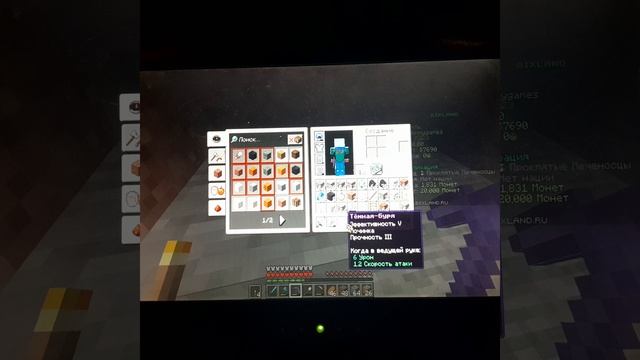 играю в Bixland