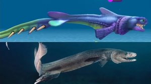 все акулы в игре хангри шарк и все акулы в реальности