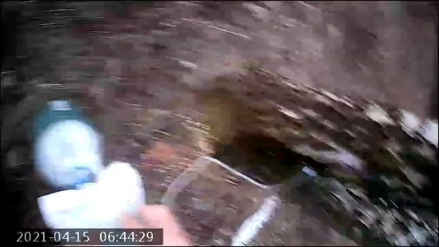 Culinary Collaboration