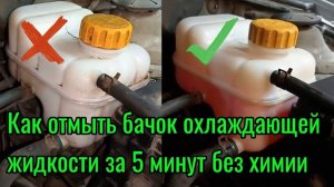 Как отмыть бачок ОЖ за 5 минут без химии