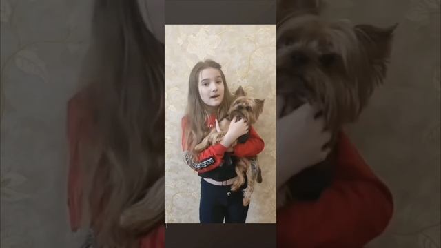 My pet❤️ смотреть онлайн