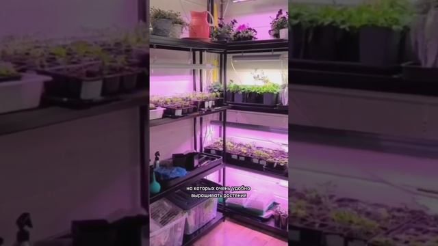Видео отзыв от нашего покупателя 🌱 смотреть онлайн
