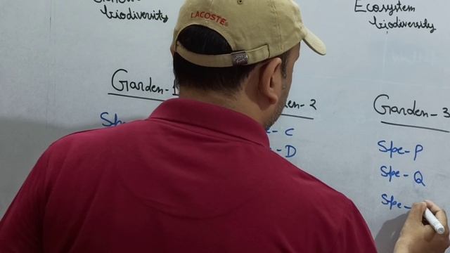 Alpha, beta & gamma diversity смотреть онлайн