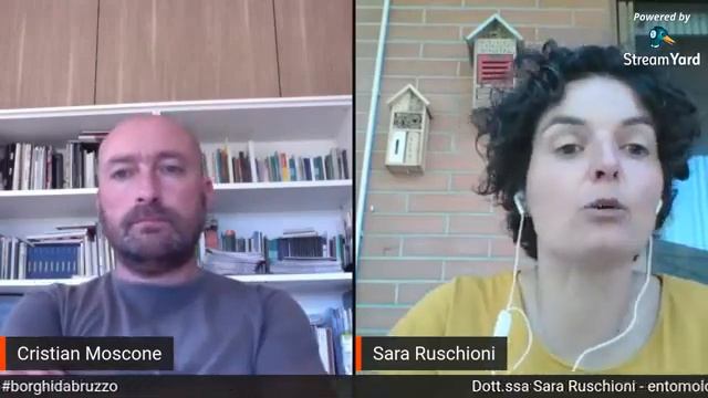 IL RUOLO DEGLI IMPOLLINATORI NELLA TUTELA DELLA BIODIVERSITAì' - IL BOSSO смотреть онлайн