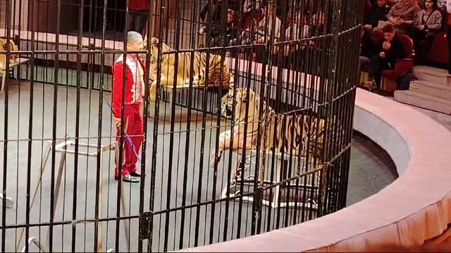 VID-20241223-WA0020 смотреть онлайн